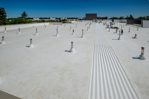 Best Solar Panel Roofing Installation  in Tarentum, PA